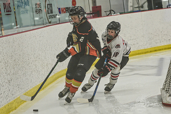DSC_1938 copy