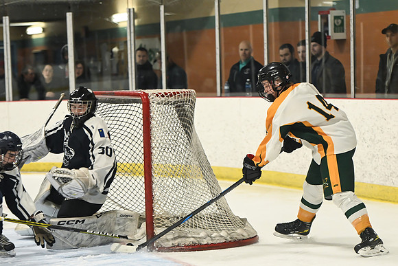 TIMBER CUP-73