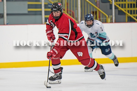 HURRICANES-83 copy
