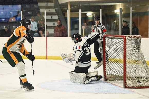 TIMBER CUP-46
