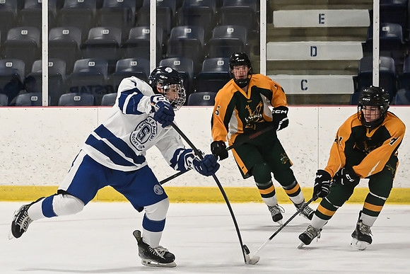 TIMBER CUP-124