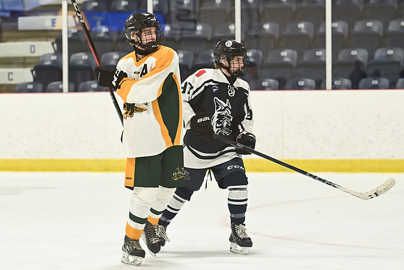 TIMBER CUP-58
