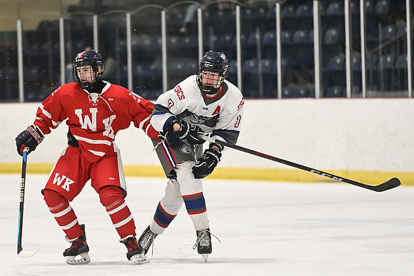 TIMBER CUP-15