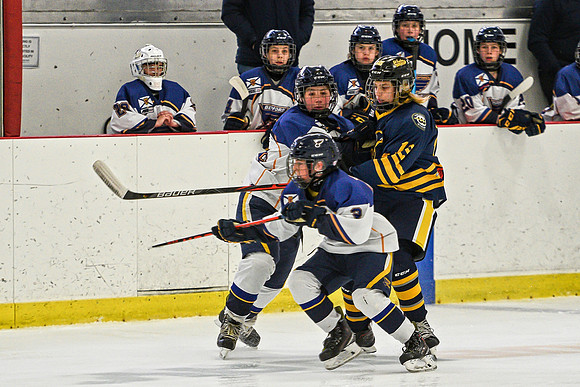 DSC_0931 copy