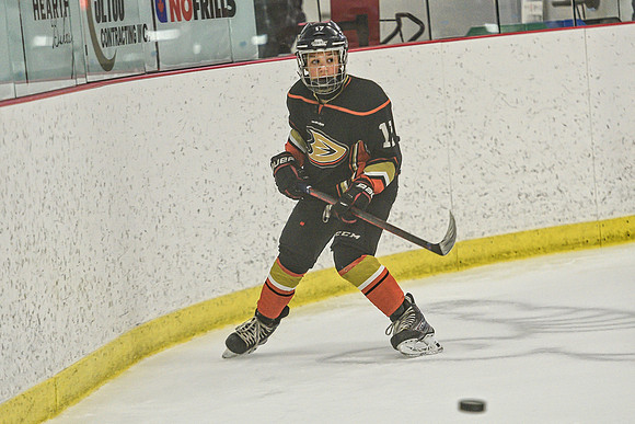 DSC_2381 copy