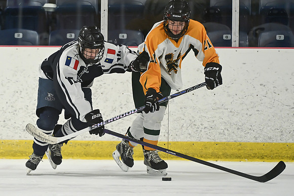 TIMBER CUP-109