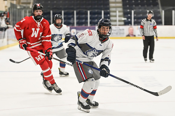 TIMBER CUP-21