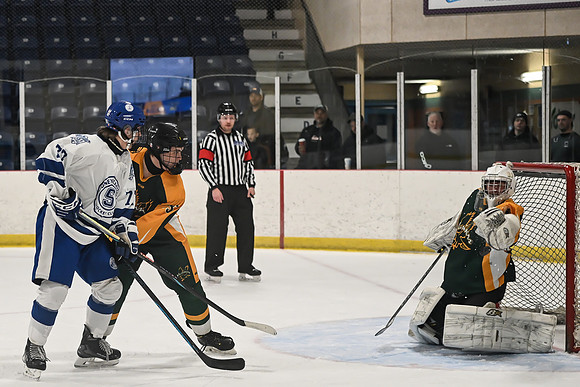 TIMBER CUP-146