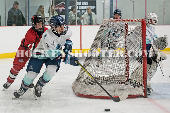 HURRICANES-71 copy