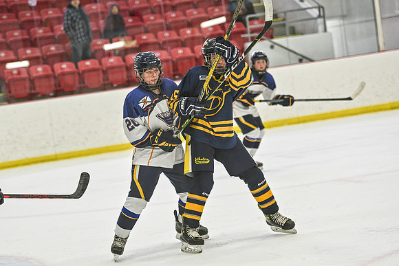 DSC_1194 copy