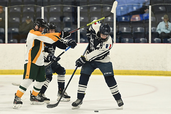 TIMBER CUP-31