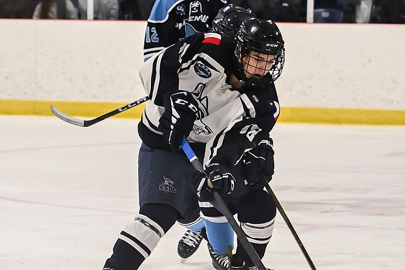 TIMBER CUP-292