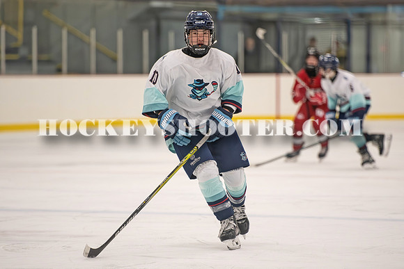 HURRICANES-94 copy