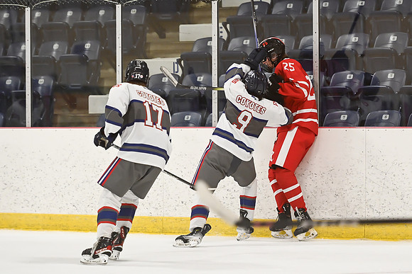 TIMBER CUP-25