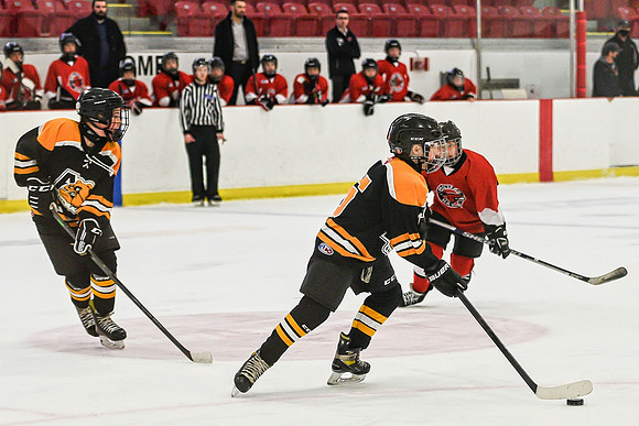 DSC_3161 copy