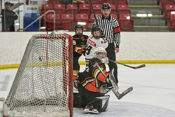 DSC_2259 copy