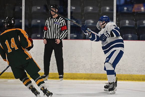TIMBER CUP-217