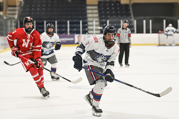 TIMBER CUP-22