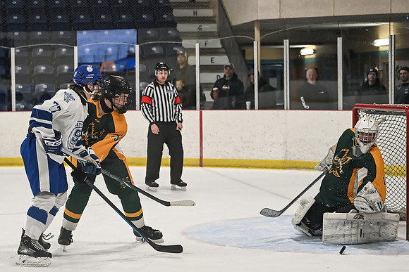 TIMBER CUP-147