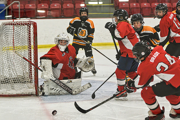 DSC_3375 copy
