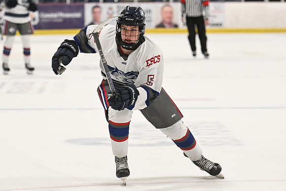 TIMBER CUP-31