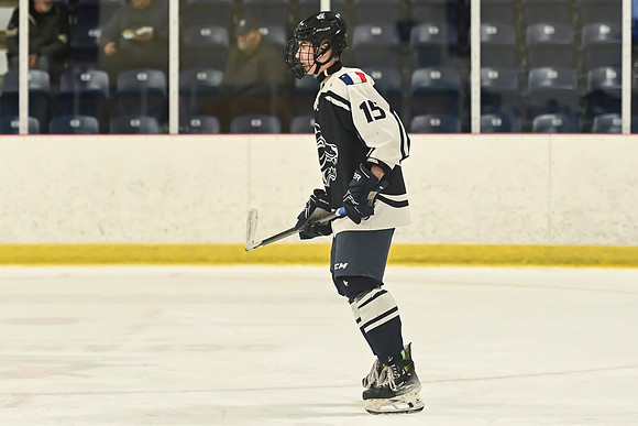 TIMBER CUP-28