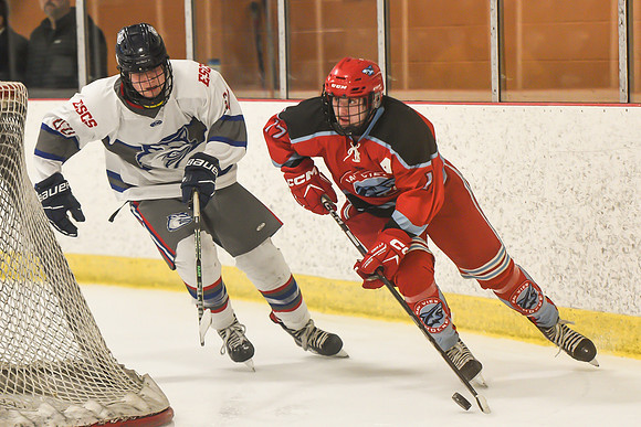 TIMBER CUP-167