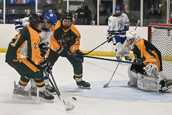 TIMBER CUP-138