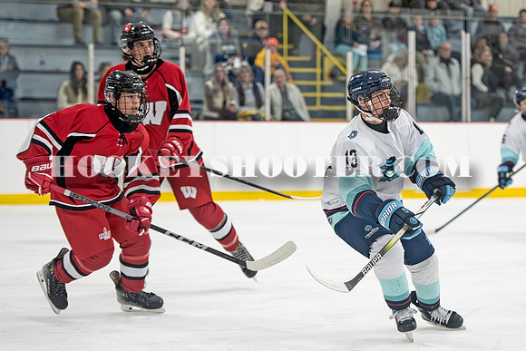 HURRICANES-100 copy