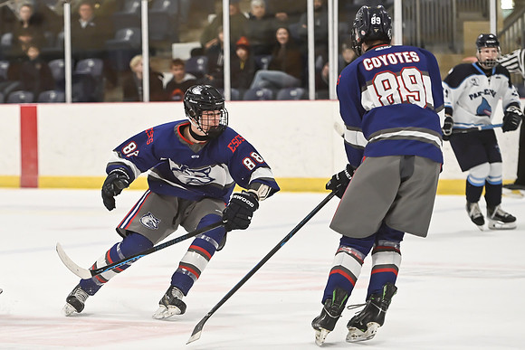 TIMBER CUP-67
