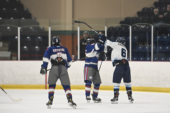 TIMBER CUP-165