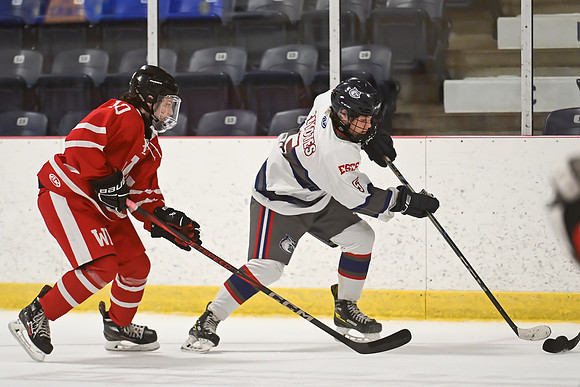 TIMBER CUP-3