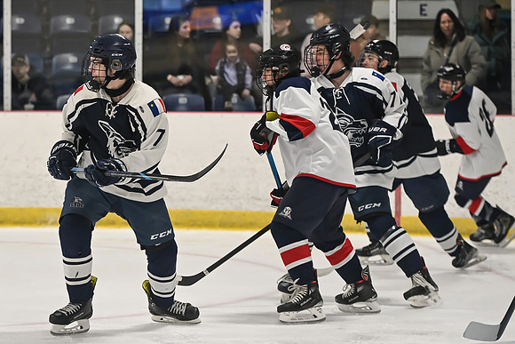 TIMBER CUP-12