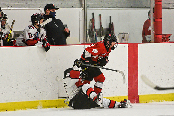 DSC_3721 copy