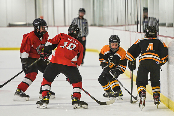 DSC_2905 copy