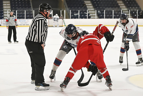 TIMBER CUP-81