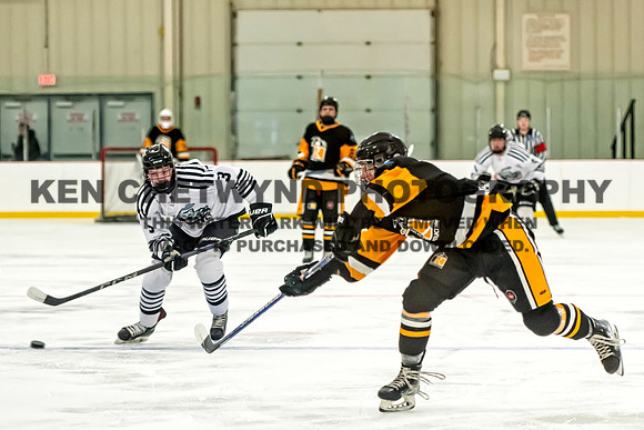 MARITIMES-29 copy