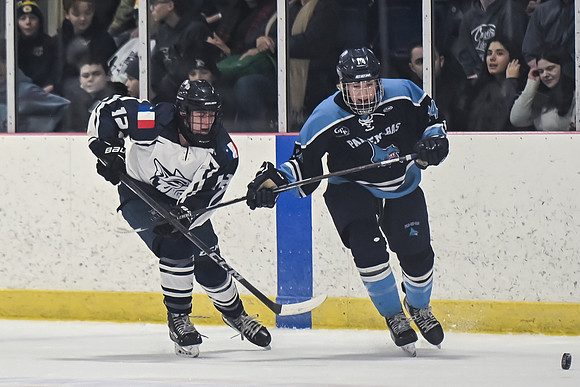 TIMBER CUP-61
