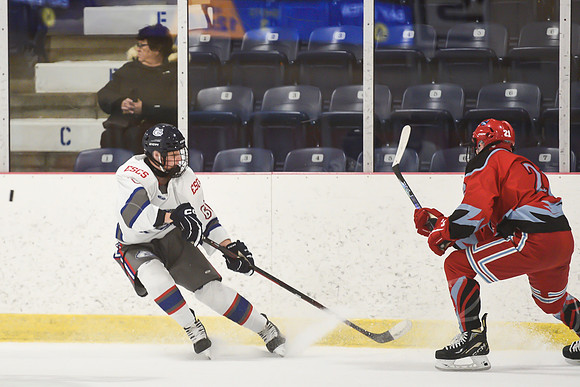 TIMBER CUP-10