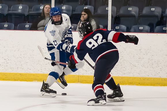TIMBER CUP-29