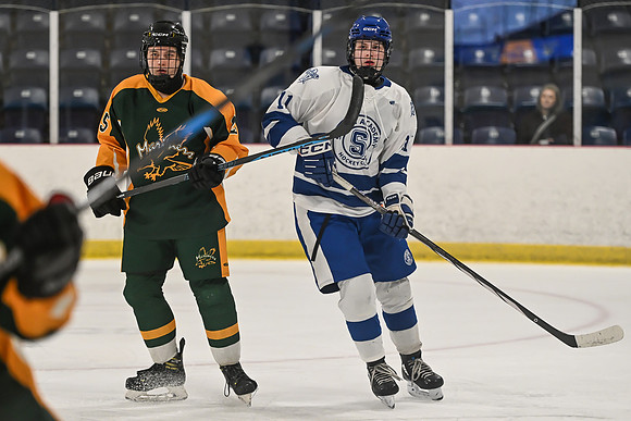 TIMBER CUP-60