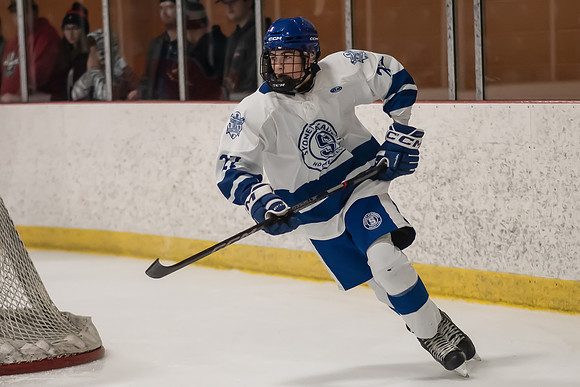 TIMBER CUP-41