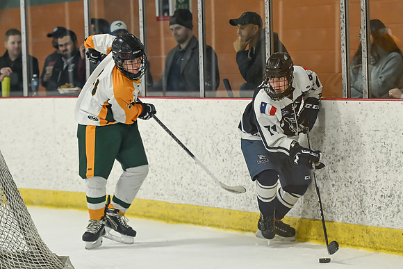 TIMBER CUP-145