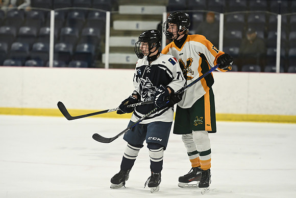 TIMBER CUP-161