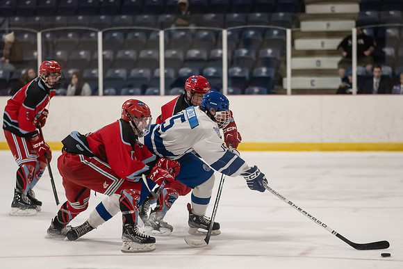 TIMBER CUP-67