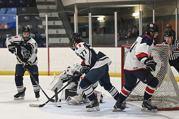 TIMBER CUP-76