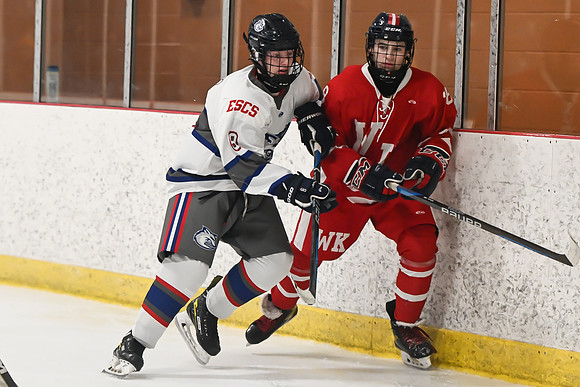 TIMBER CUP-109