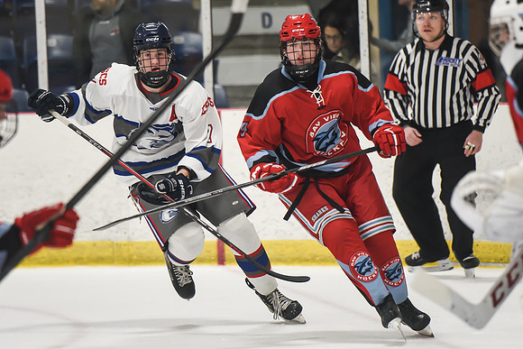 TIMBER CUP-16