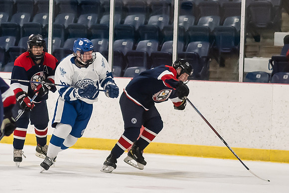 TIMBER CUP-26