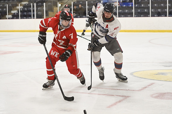TIMBER CUP-126